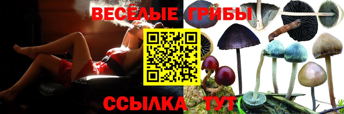 Бийск  закладка  Вход с VPN  Псилоцибиновые грибы Cubensis  Галлюциногенные грибы ЛСД 